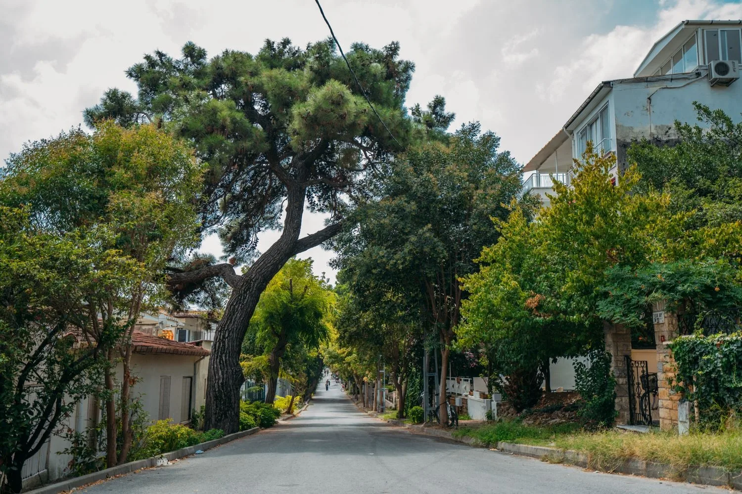 Carrer tranquil entre pins, com els de Valldoreix, Mira-sol o la Floresta