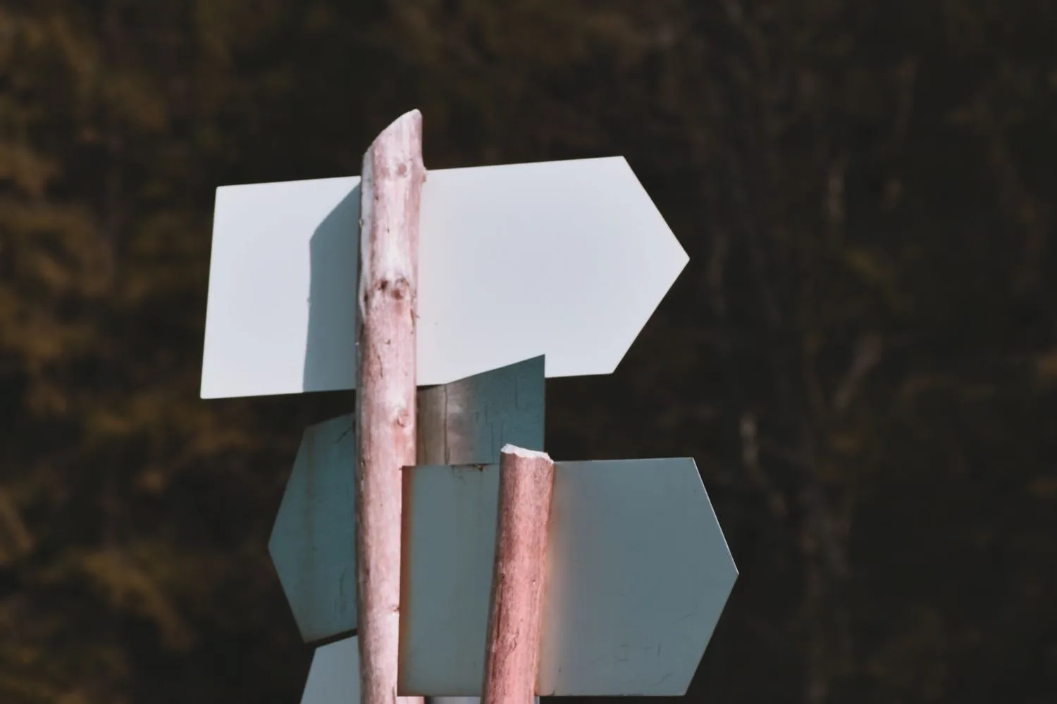 Blank direction signs, like a menu that says nothing about where it leads